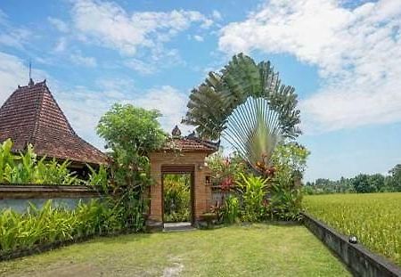 Rumah Sungai Villa ウブド エクステリア 写真