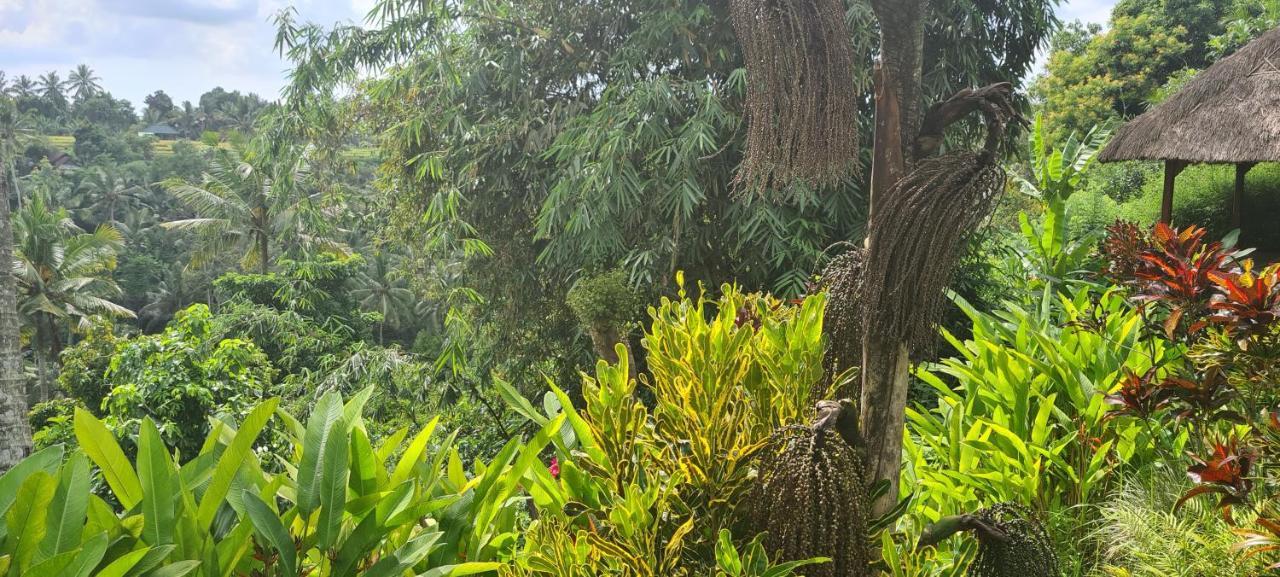 Rumah Sungai Villa ウブド エクステリア 写真