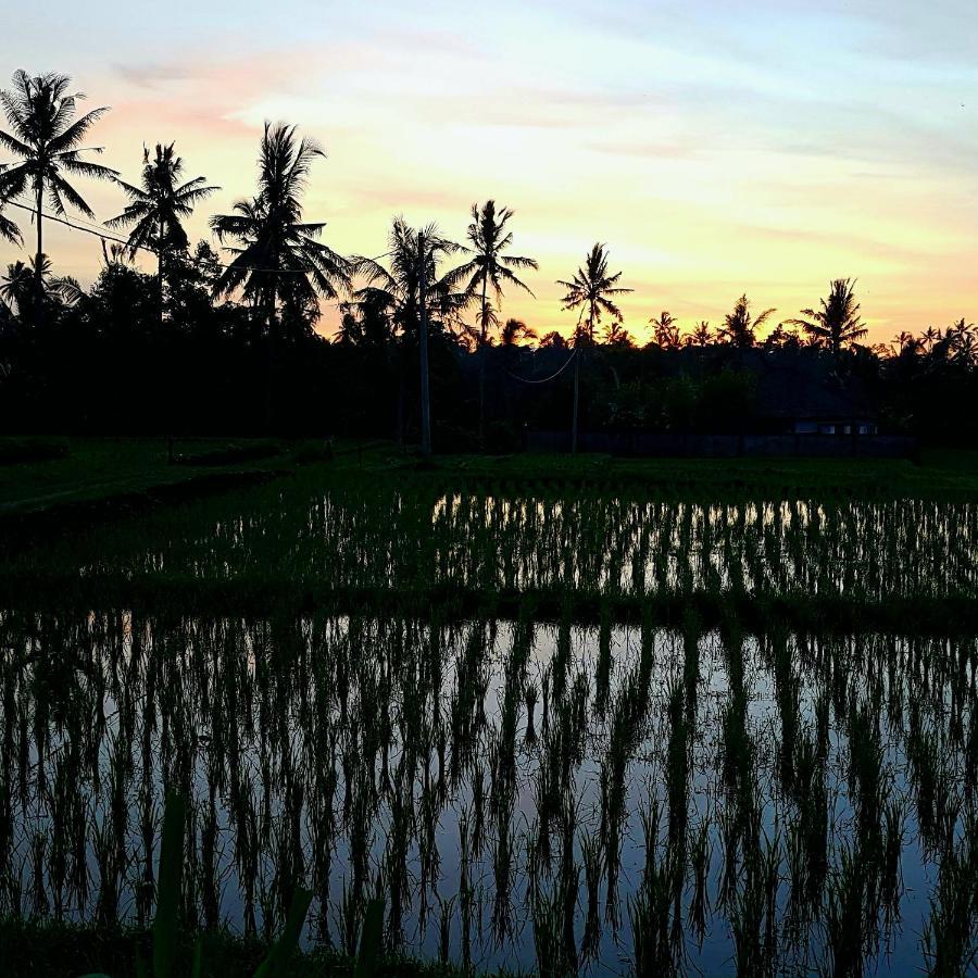 Rumah Sungai Villa ウブド エクステリア 写真