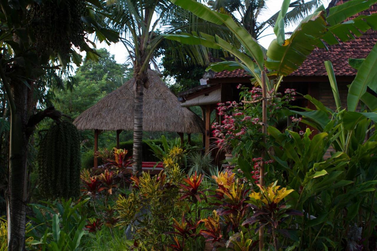 Rumah Sungai Villa ウブド エクステリア 写真