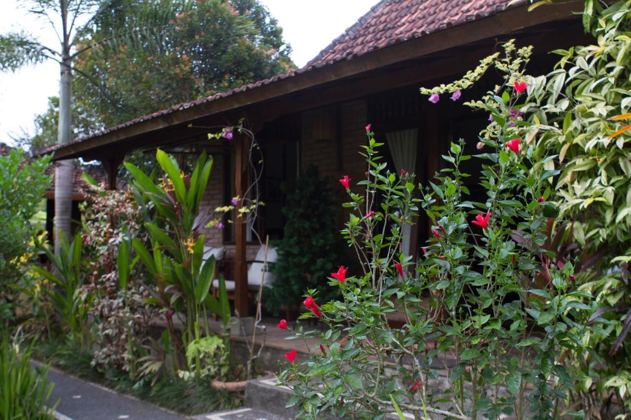 Rumah Sungai Villa ウブド エクステリア 写真