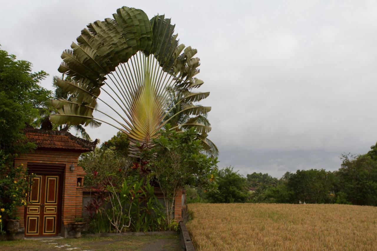 Rumah Sungai Villa ウブド エクステリア 写真