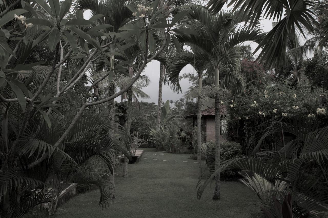 Rumah Sungai Villa ウブド エクステリア 写真