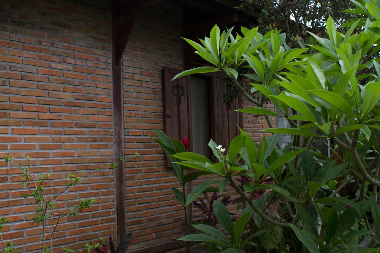 Rumah Sungai Villa ウブド エクステリア 写真