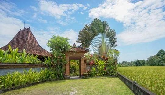 Rumah Sungai Villa ウブド エクステリア 写真