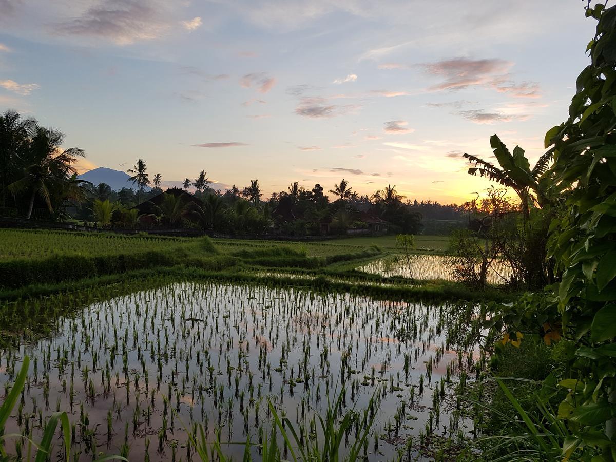 Rumah Sungai Villa ウブド エクステリア 写真