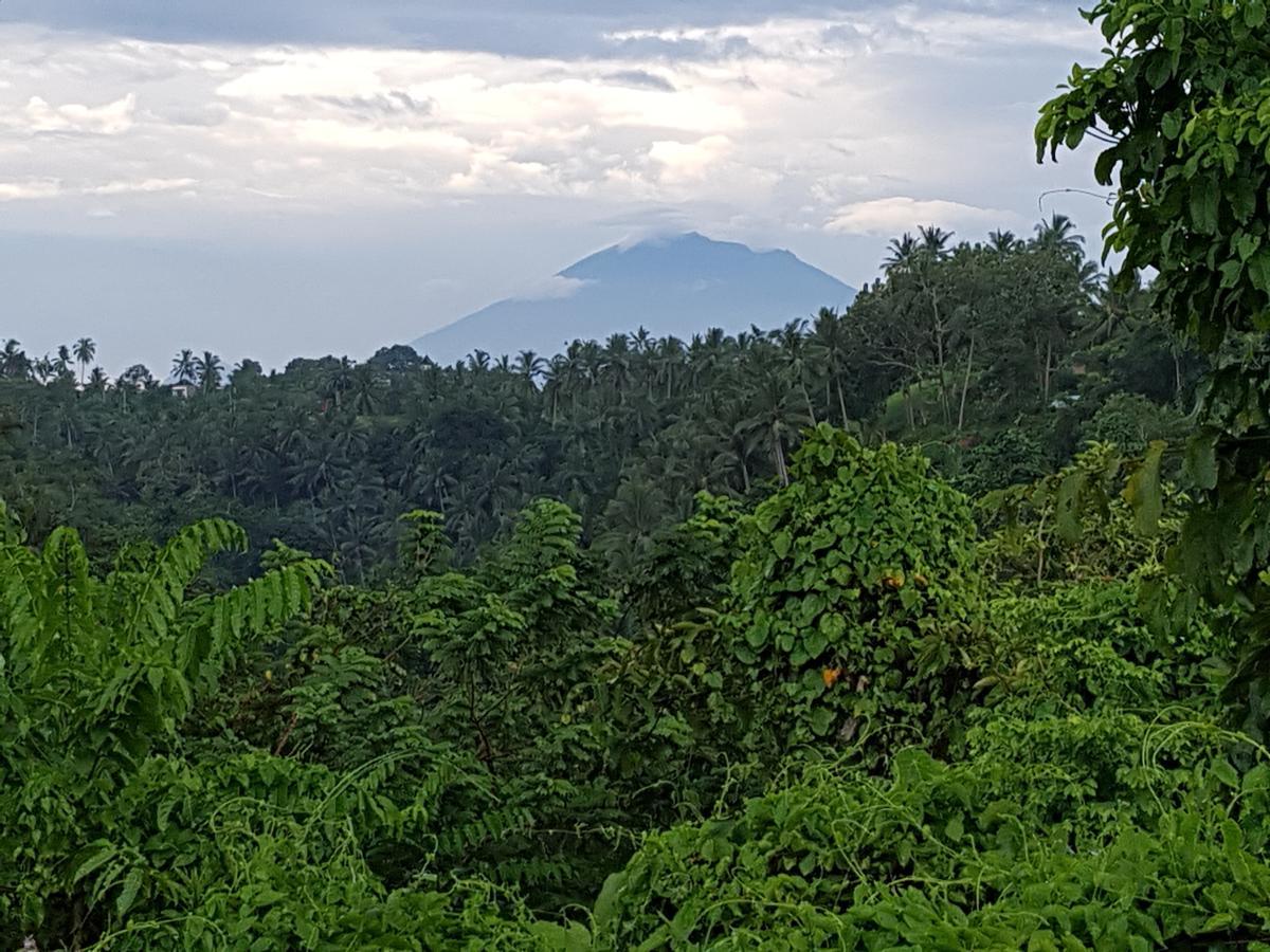 Rumah Sungai Villa ウブド エクステリア 写真