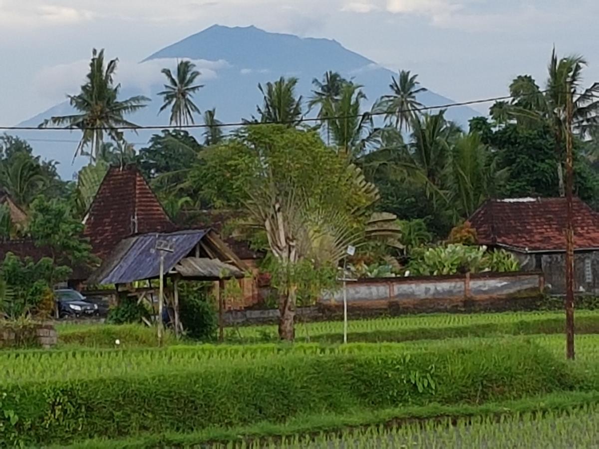 Rumah Sungai Villa ウブド エクステリア 写真