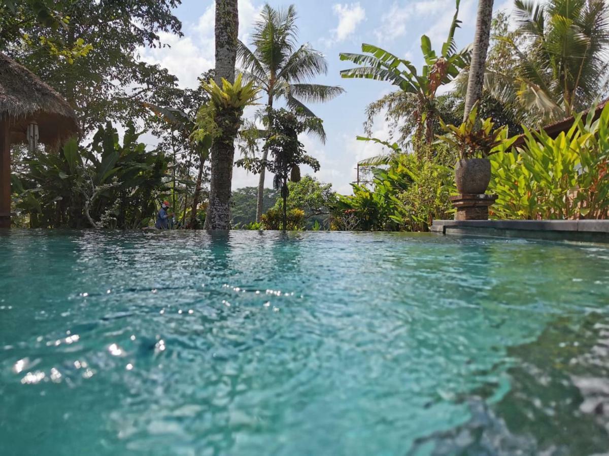 Rumah Sungai Villa ウブド エクステリア 写真