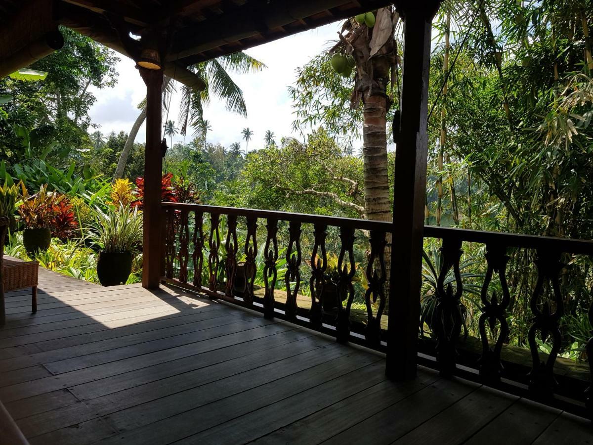Rumah Sungai Villa ウブド エクステリア 写真