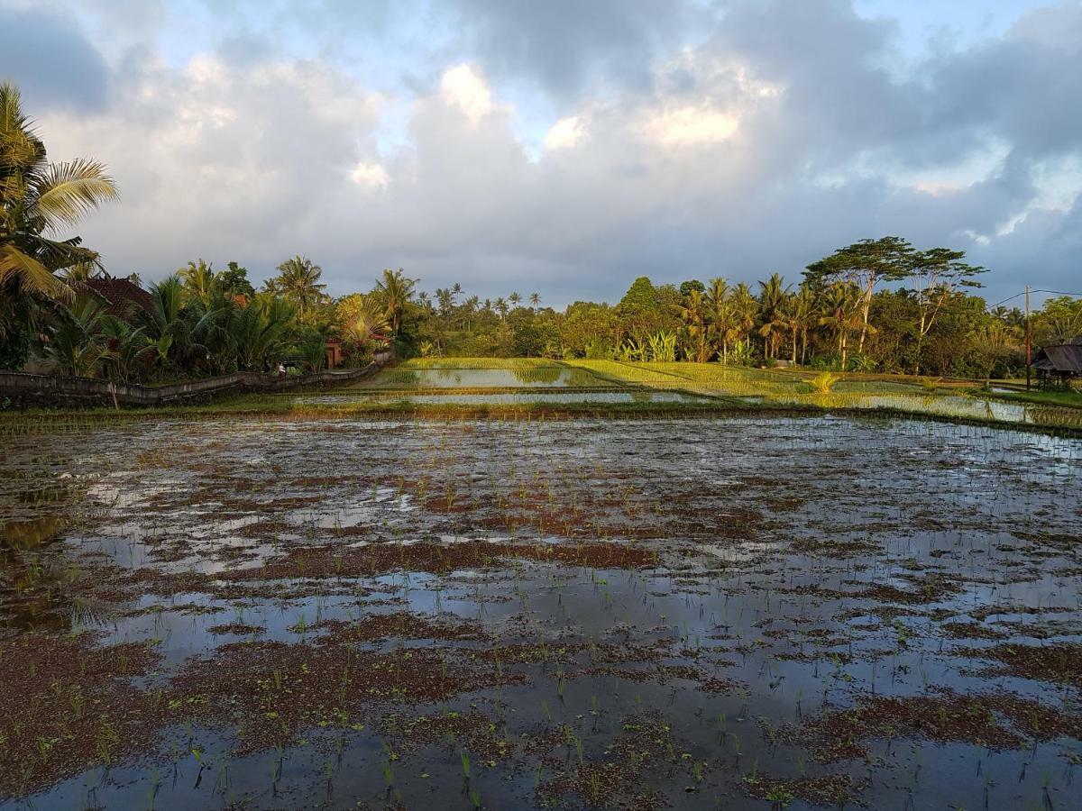 Rumah Sungai Villa ウブド エクステリア 写真
